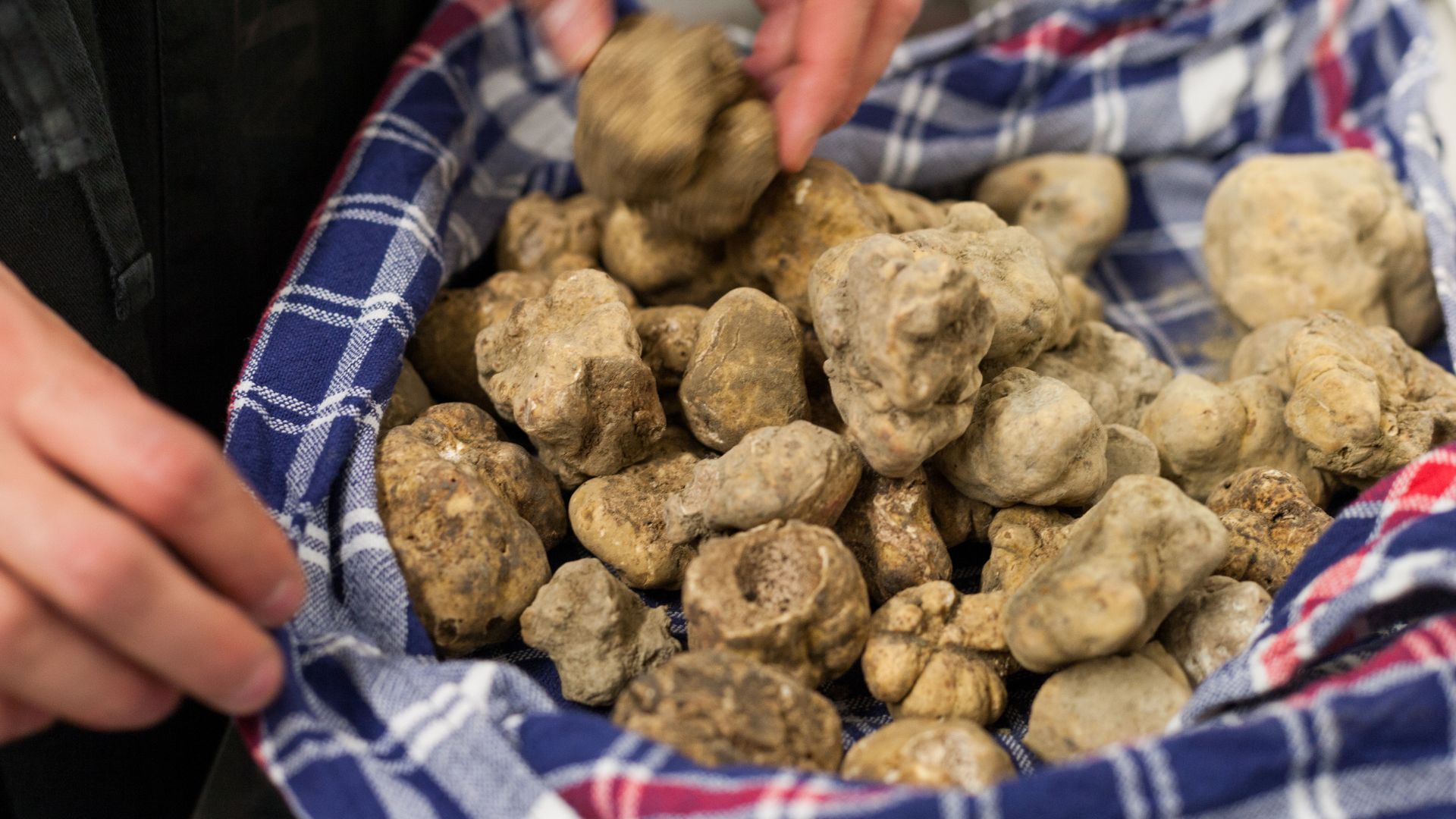 Fiera del Tartufo 2025 Sant'Agata Feltria