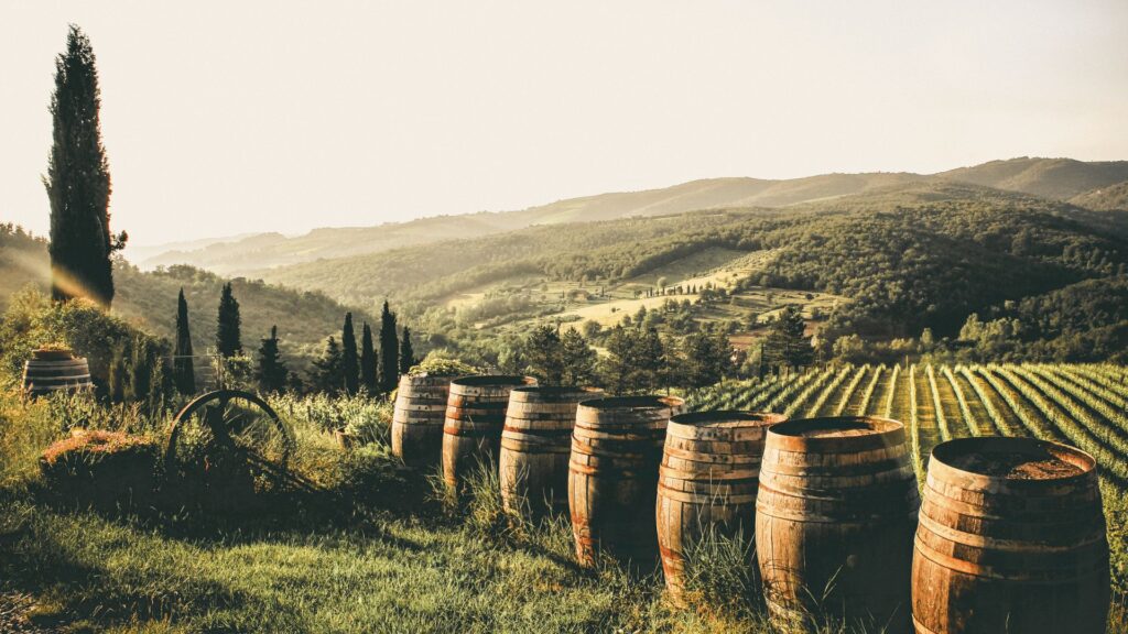 Cantine del Montefeltro