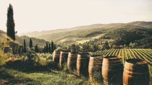 Cantine del Montefeltro